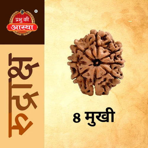 8 Mukhi Rudraksha Nepal | Certified Original Eight Face