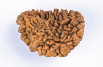 01_1_Mukhi