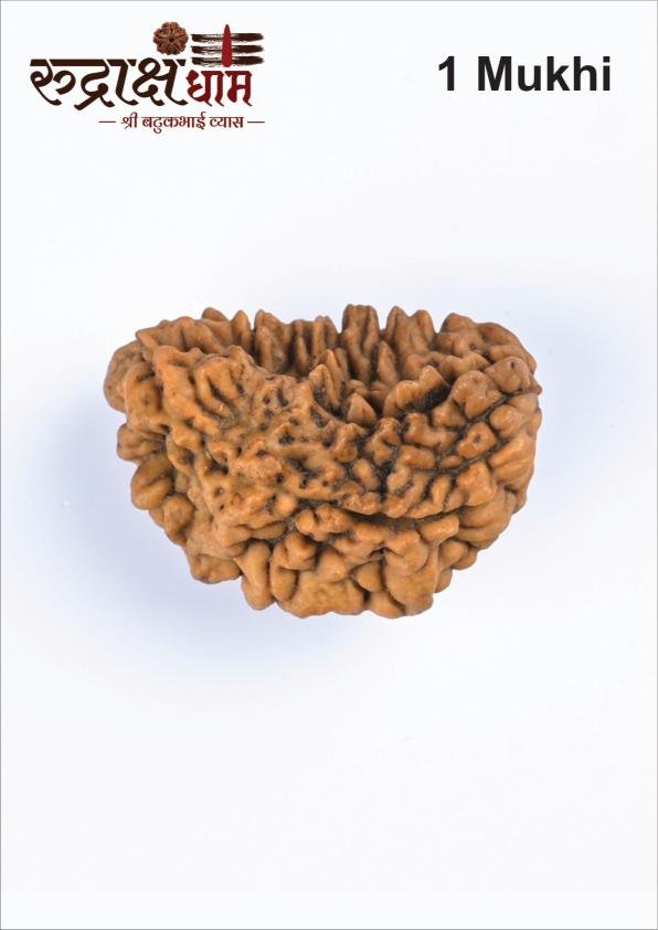 01_1_Mukhi