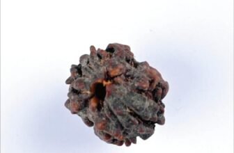02_2_Mukhi