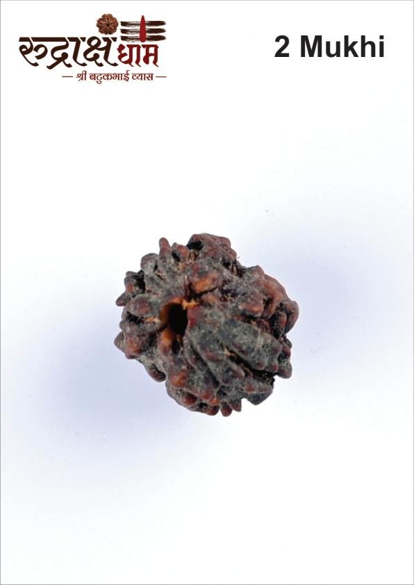 02_2_Mukhi
