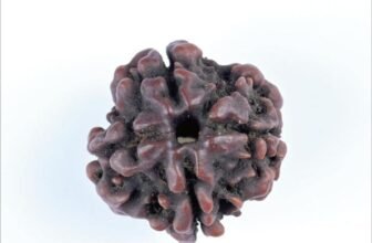 04_4_Mukhi