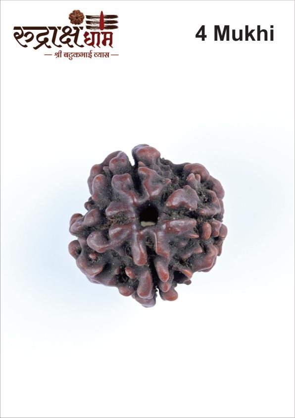 04_4_Mukhi