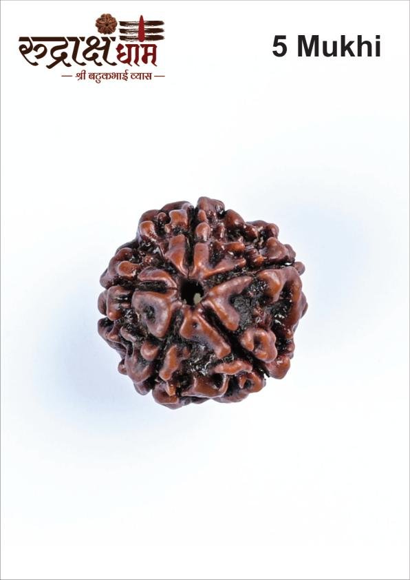 05_5_Mukhi