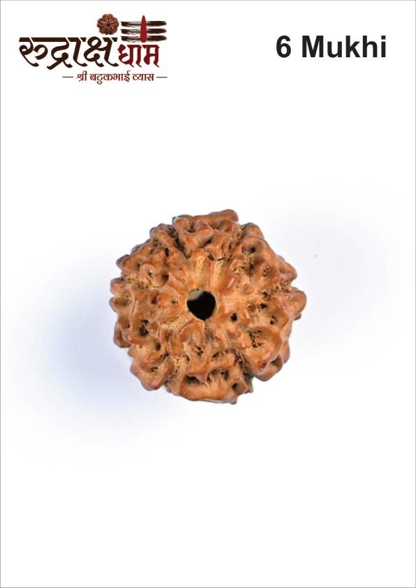 06_6_Mukhi