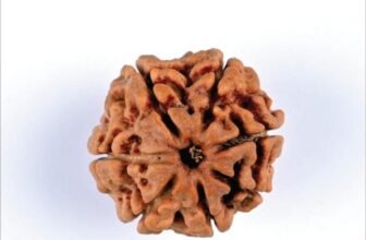 07_7_Mukhi