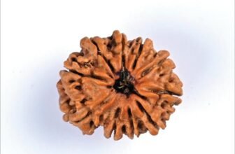 08_8_Mukhi