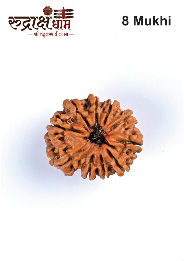 08_8_Mukhi
