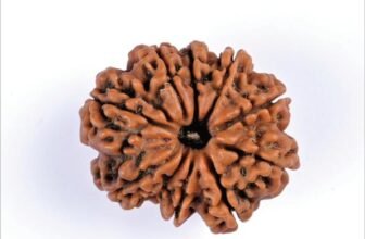 09_9_Mukhi