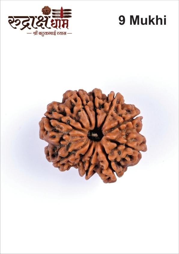09_9_Mukhi