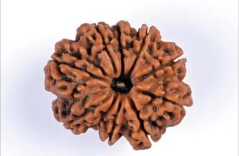 10_10_Mukhi