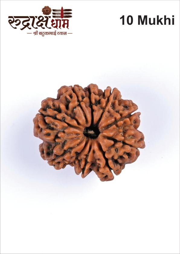 10_10_Mukhi