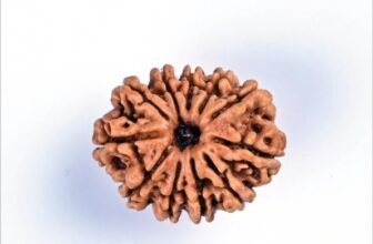 11_11_Mukhi