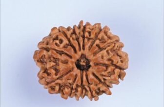 12_12_Mukhi