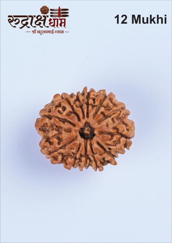 12_12_Mukhi