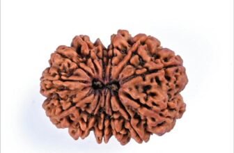 13_13_Mukhi