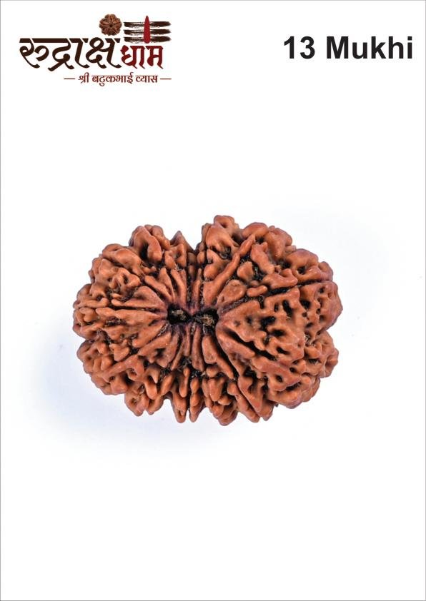 13_13_Mukhi