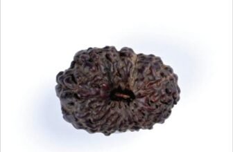 14_14_Mukhi
