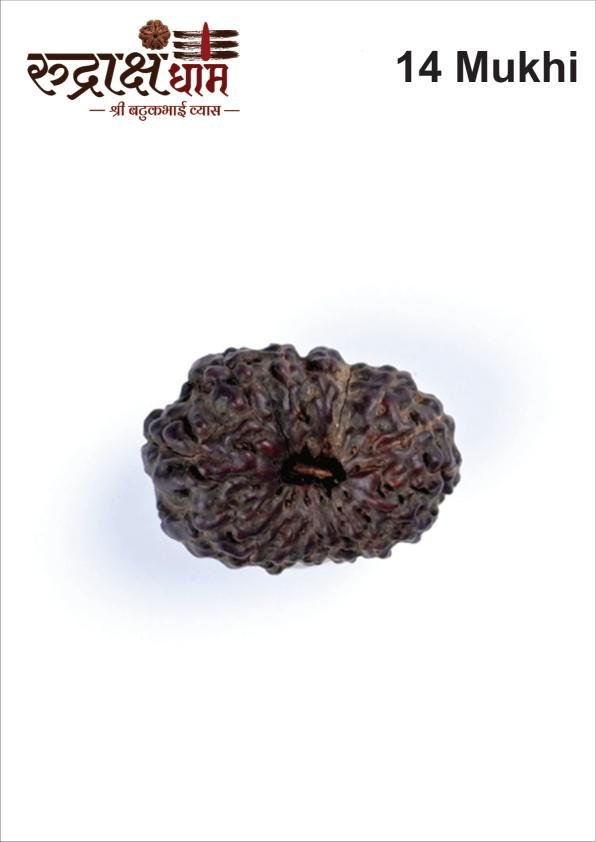14_14_Mukhi